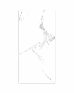 Jasper Carrara 12x24" Polished Porcelain