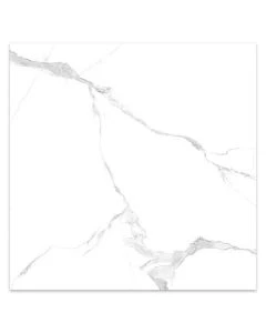 Jasper Carrara 24x24" Polished Porcelain