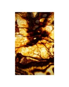 Z-Tiger 5x8' Panel Translucent Onyx