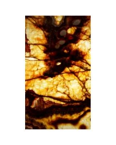 Tiger 5x8.5' Panel Translucent Onyx