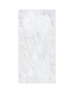 Bianco Carrara 12x24" Honed Marble