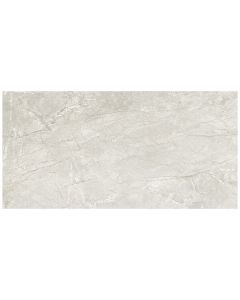 Stoney Mist 24x48" Polished Ultra Clean Porcelain