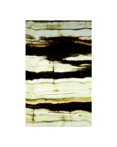 Bamboo Vein 5x8' Panel Translucent Onyx