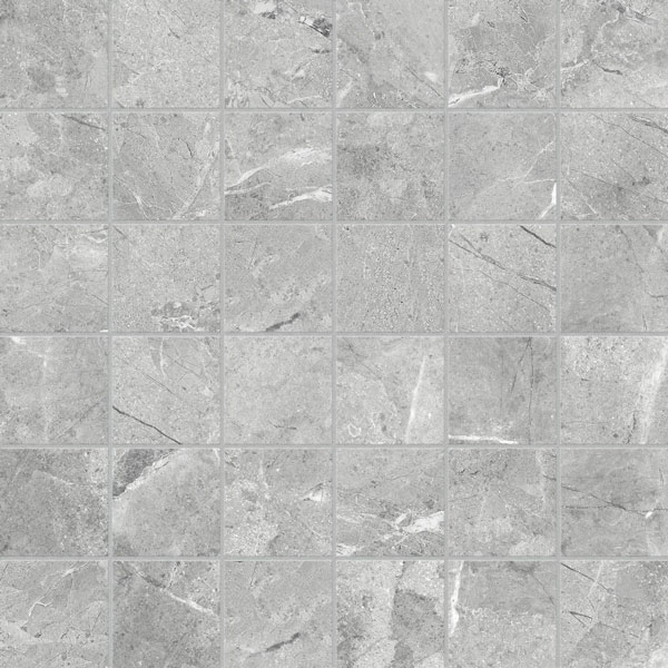 Regency Mica 2x2 Matte - Tile Stone Source