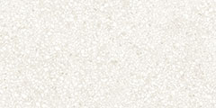Station Ivory 12x24 Matte