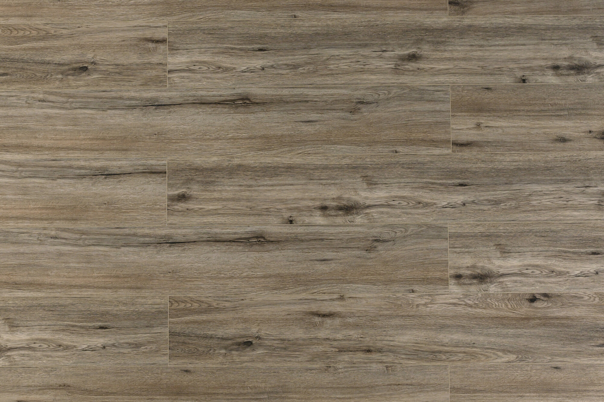Toucan 6 Weathered Ash 9x60 Luxury Vinyl Plank SPC Flooring Typical Variations
