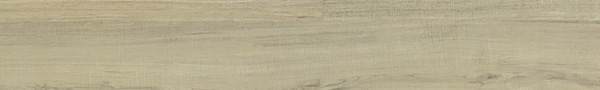 Locale 65 Asheville Timber Luxury Vinyl